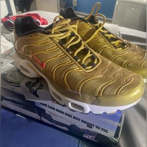 Size 10.5 nikes ( price negotiable )